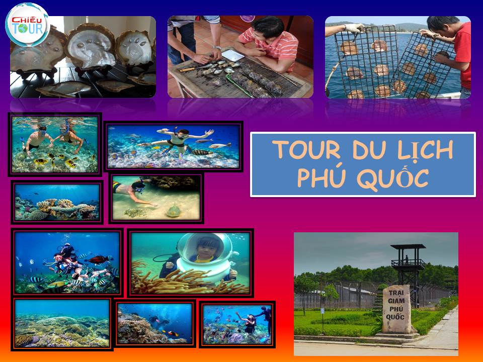 TOUR DU LỊCH THÁI BÌNH - MIỀN TÂY - PHÚ QUỐC