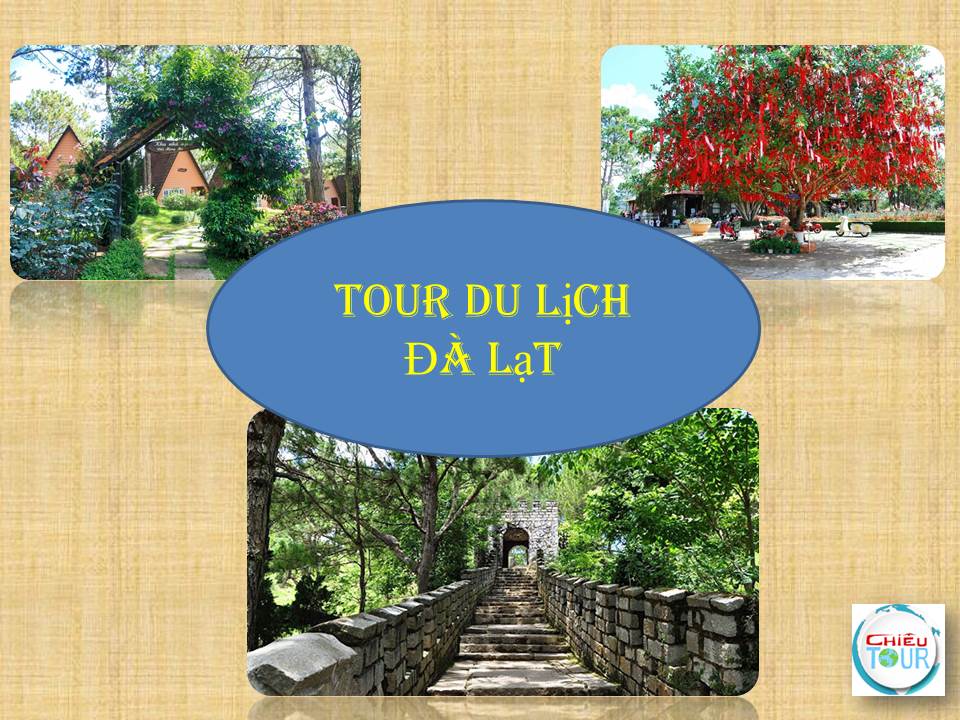 Tour du lịch Đà Lat - Chiêu tour