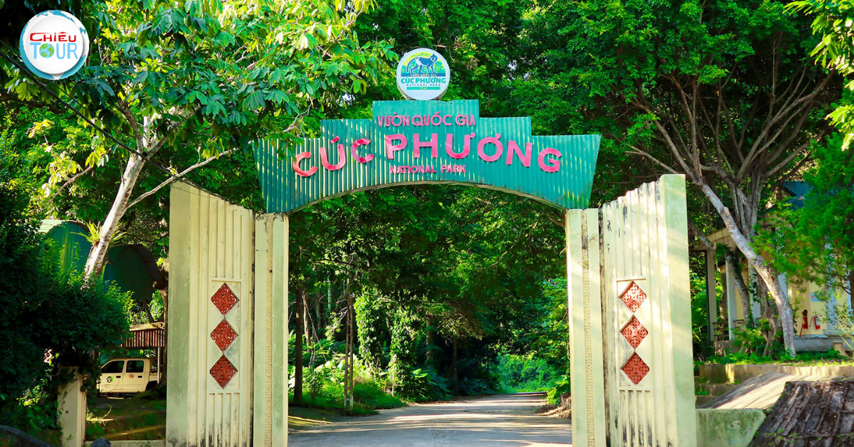 Cúc Phương National Park: The First National Park in Vietnam