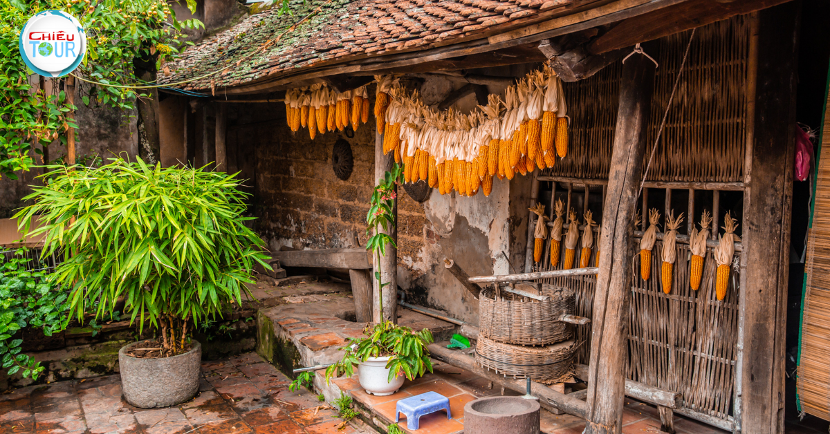 Duong Lam Ancient Village - Rich in the Beauty of the Northern Countryside in Hanoi