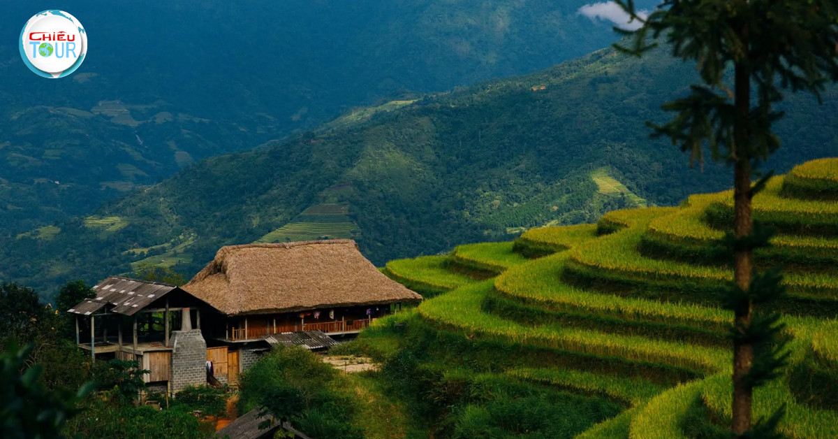Hoang Su Phi Terraced Rice Fields