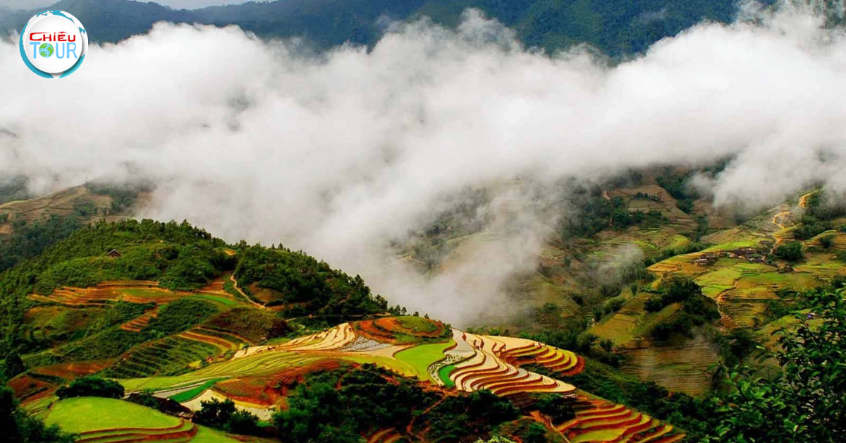 Mường Hoa Valley Sa Pa