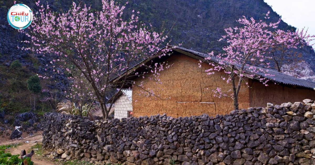 Phố Cáo: A Timeless Hmong Village