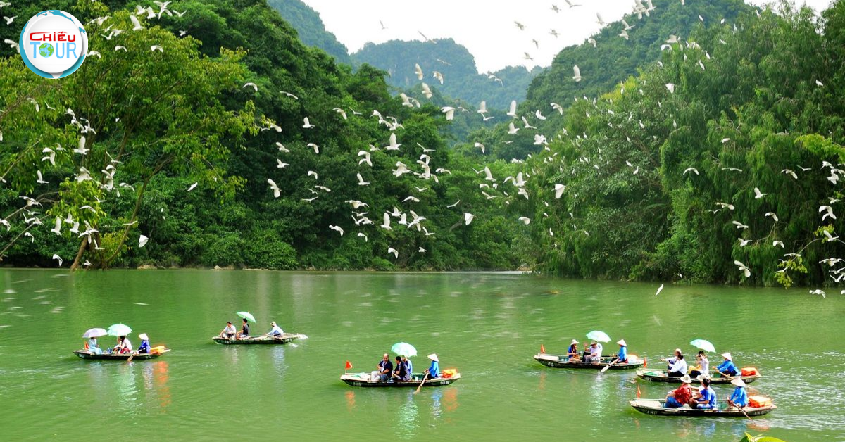 Thung Nham Bird Ninh Binh Park: A natural reserve that attracts various bird species