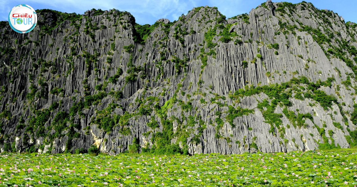 Van Long Wetland Nature Reserve