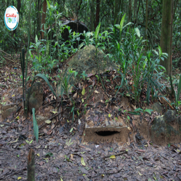CU CHI TUNNELS - MEKONG DELTA FULL DAY