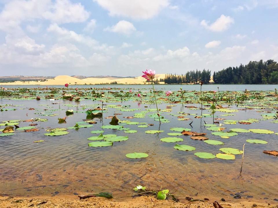 LEO NÚI TÀ KU TOUR DU LỊCH PHAN THIẾT 2 NGÀY 1 ĐÊM