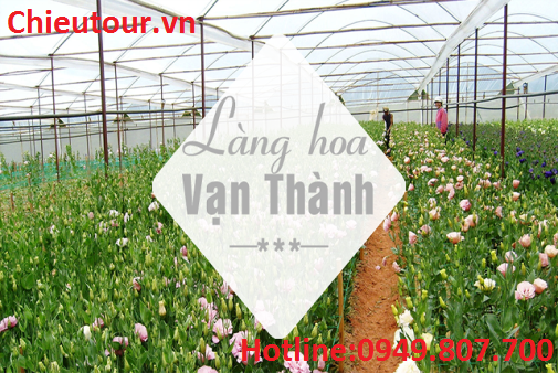 Làng Hoa Vạn Thành