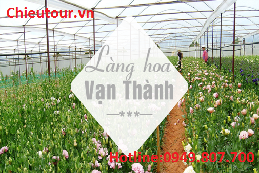 Làng Hoa vạn Thành