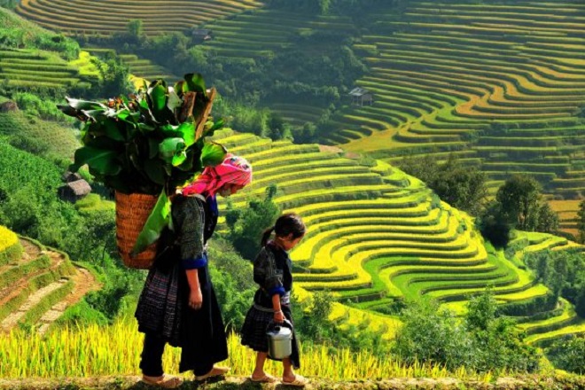 TOUR DU LỊCH MIỀN BẮC HÀ NỘI - SAPA 3 NGÀY 2 ĐÊM