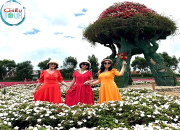 Tour Đà Lạt ghép đoàn 3 ngày 3 đêm 