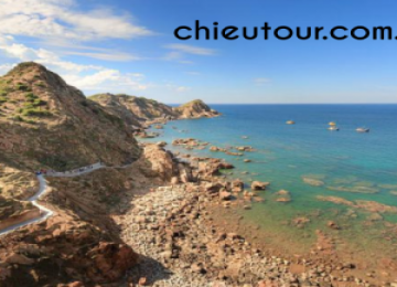 TOUR VŨNG TÀU ĐI QUY NHƠN BÌNH ĐỊNH