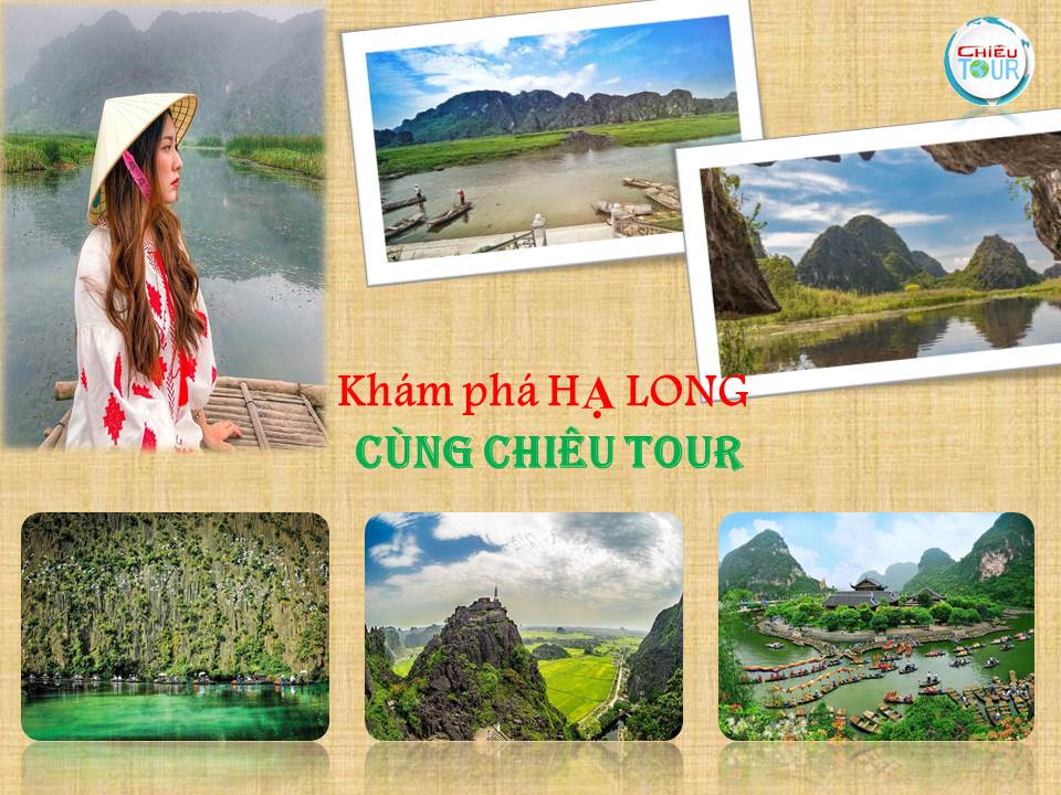 TOUR BẾN TRE - HÀ NỘI - NINH BÌNH - HÀ LONG