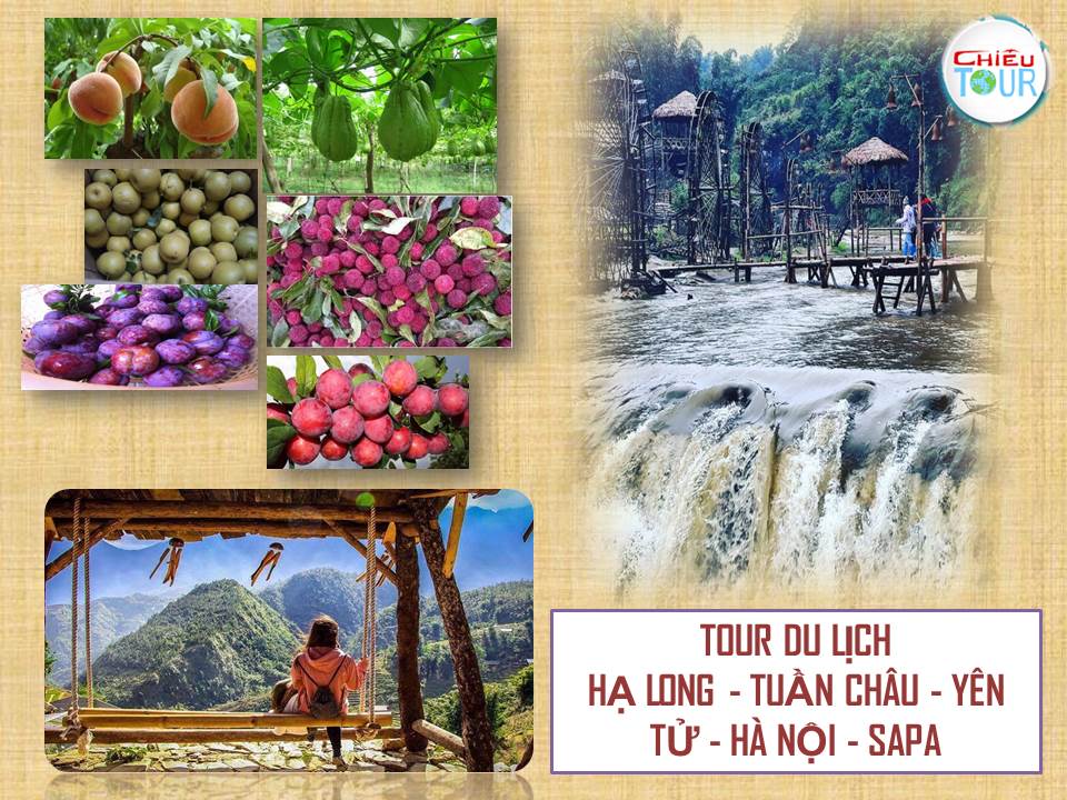 TOUR BÌNH DƯƠNG - HÀ NỘI - HẠ LONG - SA PA GIÁ RẺ GIẢM 30%