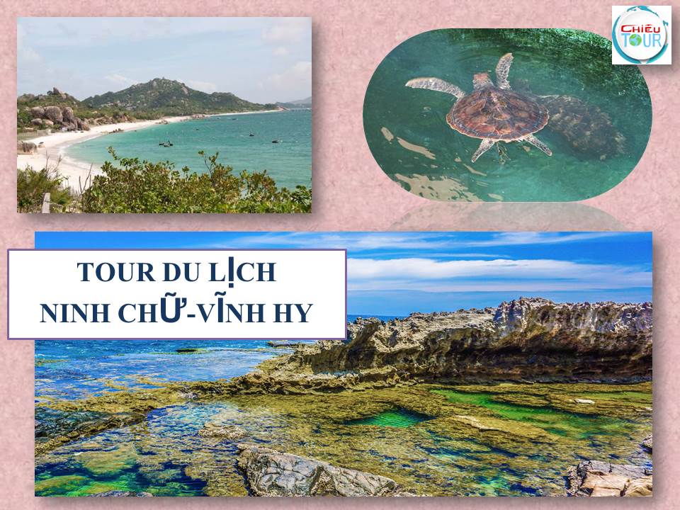 TOUR CẦN THƠ - NINH CHỬ- VỊNH VĨNH HY GIÁ RẺ