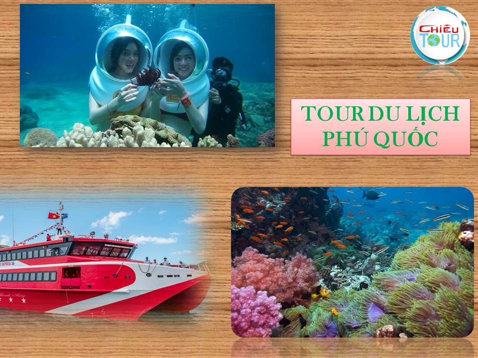 TOUR DU LỊCH BÌNH DƯƠNG - PHÚ QUỐC BẰNG XE GIƯỜNG NẰM CAO CẤP