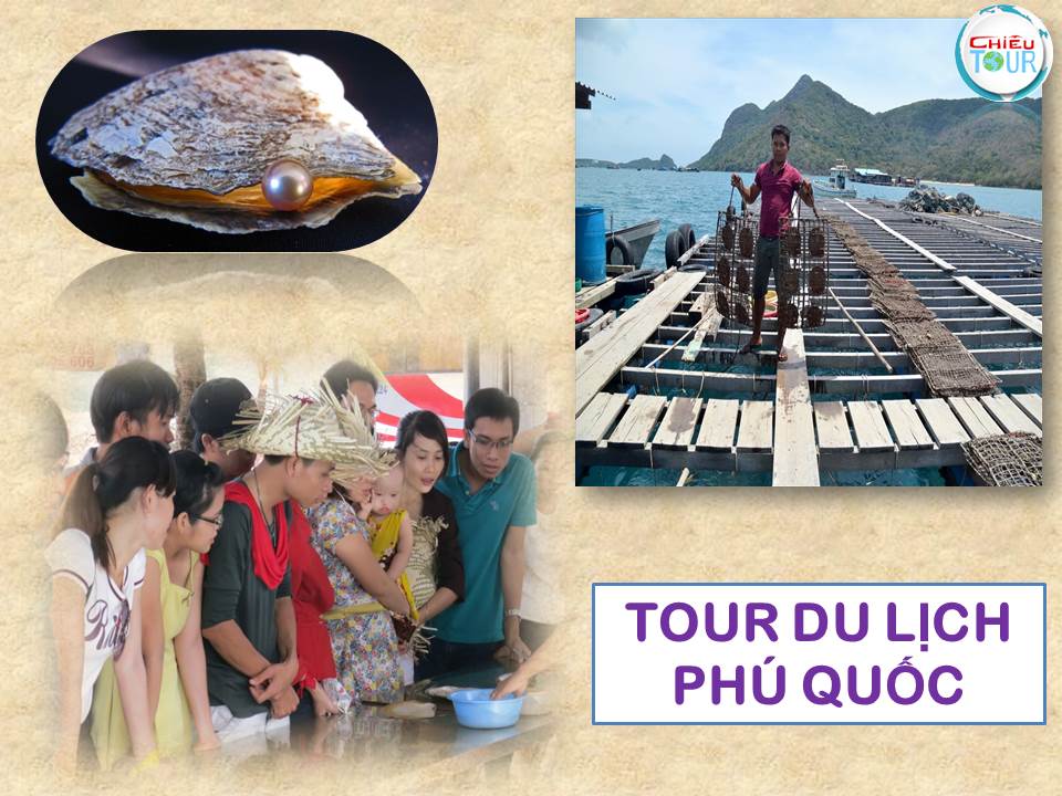 TOUR DU LỊCH CẦN THƠ - PHÚ QUỐC 2 NGÀY 1 ĐÊM GIÁ RẺ