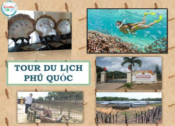 TOUR DU LỊCH QUẢNG NINH - SÀI GÒN - MIỀN TÂY - PHÚ QUỐC GÍA RẺ NHẤT