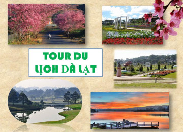 TOUR HÀ NỘI ĐI ĐÀ LẠT GIÁ RẺ NHẤT