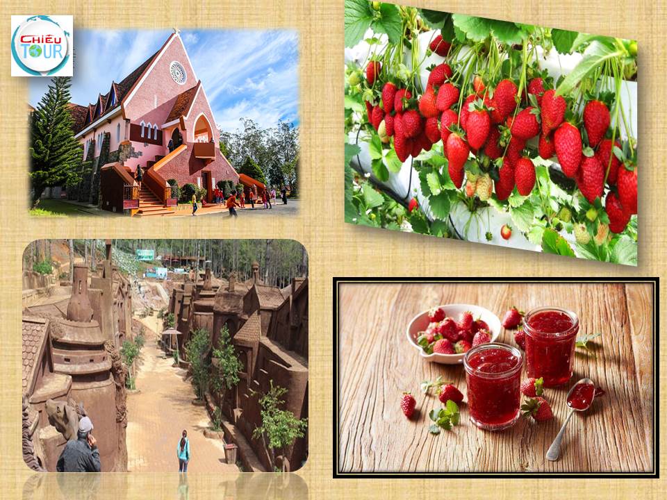 TOUR HẢI PHÒNG - ĐÀ LẠT - VŨNG TÀU - TP HCM 5 NGÀY 4 ĐÊM GIÁ RẺ